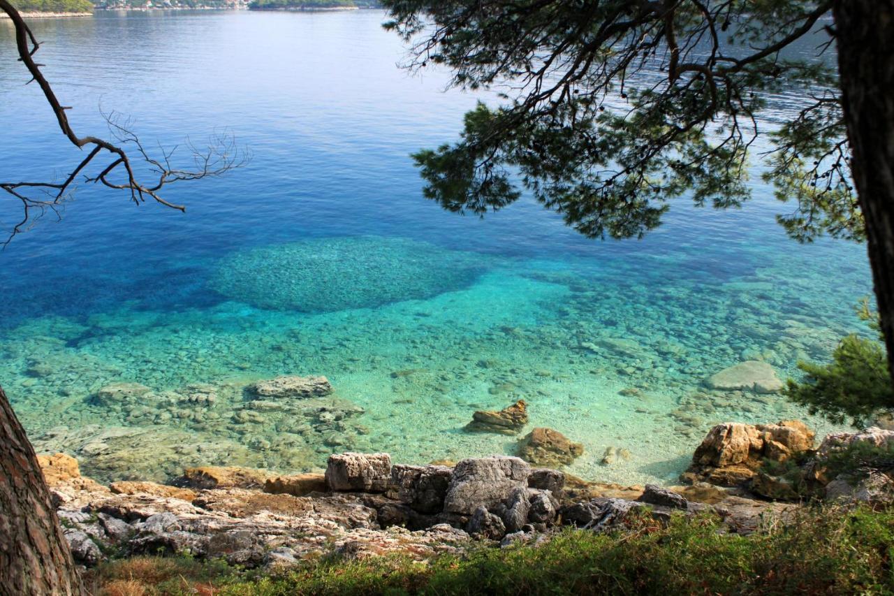 Apartments By The Sea Ubli, Lastovo - 8354 Экстерьер фото